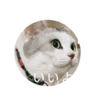 友達んちのにゃんこちゃんたち（個別スタンプ：17）