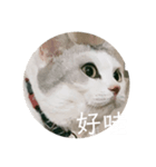 友達んちのにゃんこちゃんたち（個別スタンプ：18）