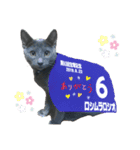 ロシ夫さんスタンプ1（個別スタンプ：1）