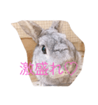 ぐーたすたんぷ（個別スタンプ：3）