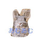 ぐーたすたんぷ（個別スタンプ：7）