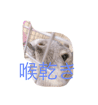 ぐーたすたんぷ（個別スタンプ：9）