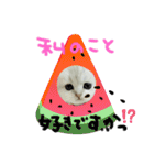 ちゅっちゅスタンプ   *告白編②（個別スタンプ：2）