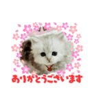 ちゅっちゅスタンプ   *告白編②（個別スタンプ：4）
