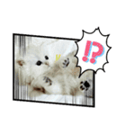 ちゅっちゅスタンプ   *告白編②（個別スタンプ：12）