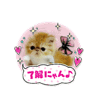 ちゅっちゅスタンプ   *告白編②（個別スタンプ：22）