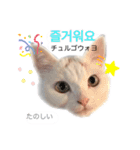 韓国語 困っていない猫のすず。（個別スタンプ：9）