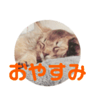 むぎっぽスタンプ（個別スタンプ：6）