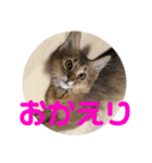 むぎっぽスタンプ（個別スタンプ：7）