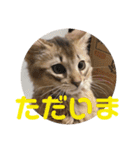 むぎっぽスタンプ（個別スタンプ：8）