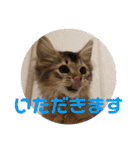 むぎっぽスタンプ（個別スタンプ：10）