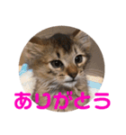 むぎっぽスタンプ（個別スタンプ：12）