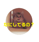 むぎっぽスタンプ（個別スタンプ：23）