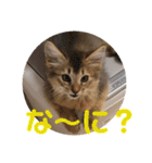 むぎっぽスタンプ（個別スタンプ：24）