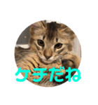 むぎっぽスタンプ（個別スタンプ：30）