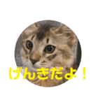むぎっぽスタンプ（個別スタンプ：33）
