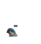 オキナインコ②（個別スタンプ：9）