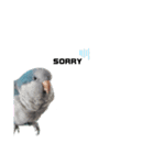 オキナインコ②（個別スタンプ：10）