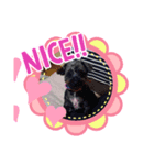 はなとみるく（個別スタンプ：4）