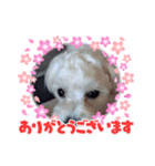 はなとみるく（個別スタンプ：6）