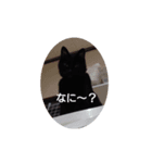 ごん 4（個別スタンプ：1）