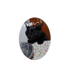 ごん 4（個別スタンプ：4）
