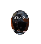 ごん 4（個別スタンプ：5）