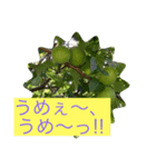 畑活、ハタカツ2（個別スタンプ：1）