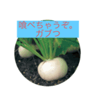 畑活、ハタカツ2（個別スタンプ：4）