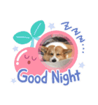たまこちゃんすたんぶ2（個別スタンプ：3）