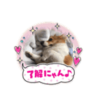 たまこちゃんすたんぶ2（個別スタンプ：5）