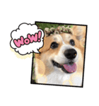 たまこちゃんすたんぶ2（個別スタンプ：10）