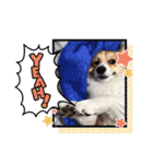 たまこちゃんすたんぶ2（個別スタンプ：12）