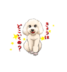 ALのカレンちゃん（個別スタンプ：1）