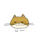気ままなふく（個別スタンプ：6）