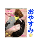 赤いりぼんの可愛い仲間達❤️①（個別スタンプ：3）