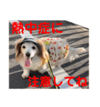 赤いりぼんの可愛い仲間達❤️①（個別スタンプ：4）