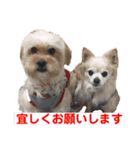 赤いりぼんの可愛い仲間達❤️①（個別スタンプ：6）