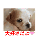 赤いりぼんの可愛い仲間達❤️①（個別スタンプ：7）