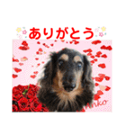赤いりぼんの可愛い仲間達❤️①（個別スタンプ：9）