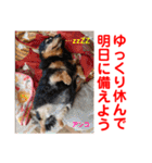 赤いりぼんの可愛い仲間達❤️①（個別スタンプ：10）