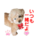 赤いりぼんの可愛い仲間達❤️①（個別スタンプ：13）
