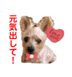 赤いりぼんの可愛い仲間達❤️①（個別スタンプ：15）