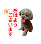 赤いりぼんの可愛い仲間達❤️①（個別スタンプ：16）