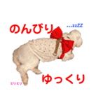 赤いりぼんの可愛い仲間達❤️①（個別スタンプ：17）