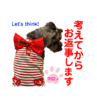 赤いりぼんの可愛い仲間達❤️①（個別スタンプ：18）