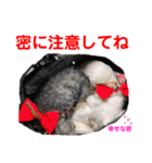赤いりぼんの可愛い仲間達❤️①（個別スタンプ：19）