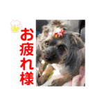 赤いりぼんの可愛い仲間達❤️①（個別スタンプ：20）