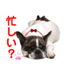 赤いりぼんの可愛い仲間達❤️①（個別スタンプ：22）