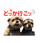 赤いりぼんの可愛い仲間達❤️①（個別スタンプ：24）